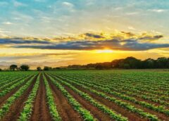 Ley de Tierras: qué cambios impulsa el proyecto de Milei y cómo es en Brasil, Uruguay y Paraguay