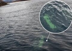 Una camioneta apareció hundida en un lago de Chubut: investigan cómo terminó bajo el agua